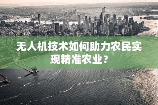 无人机技术如何助力农民实现精准农业？