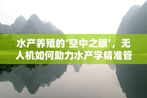 水产养殖的‘空中之眼’，无人机如何助力水产学精准管理？