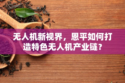 无人机新视界，恩平如何打造特色无人机产业链？