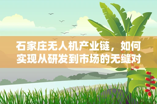 石家庄无人机产业链，如何实现从研发到市场的无缝对接？