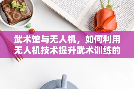 武术馆与无人机，如何利用无人机技术提升武术训练的效率与安全？