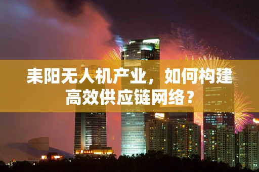 耒阳无人机产业，如何构建高效供应链网络？