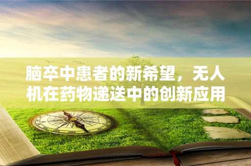 脑卒中患者的新希望，无人机在药物递送中的创新应用？