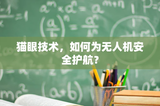 猫眼技术，如何为无人机安全护航？