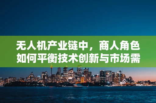 无人机产业链中，商人角色如何平衡技术创新与市场需求的微妙关系？