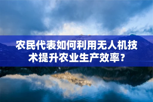 农民代表如何利用无人机技术提升农业生产效率？