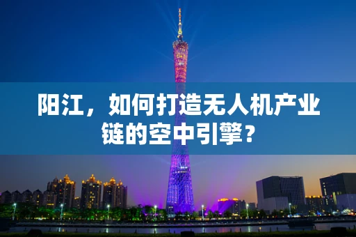 阳江，如何打造无人机产业链的空中引擎？