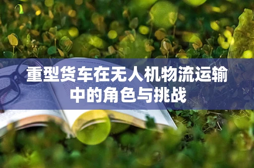 重型货车在无人机物流运输中的角色与挑战