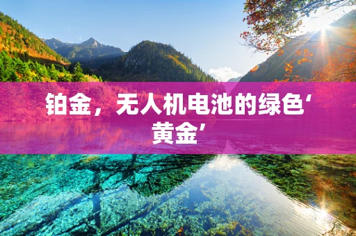 铂金，无人机电池的绿色‘黄金’