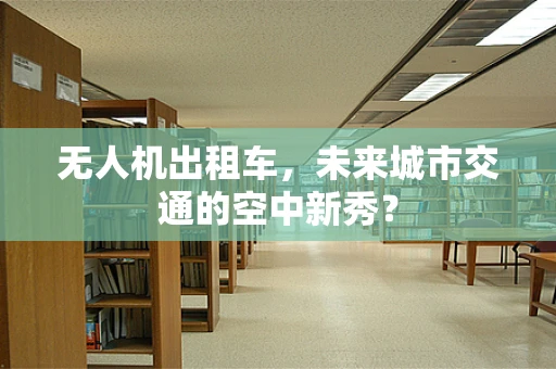 无人机出租车，未来城市交通的空中新秀？