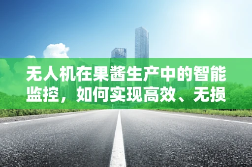 无人机在果酱生产中的智能监控，如何实现高效、无损的果酱质量监测？