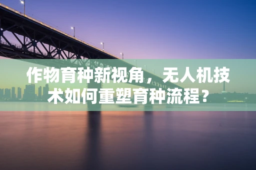 作物育种新视角，无人机技术如何重塑育种流程？