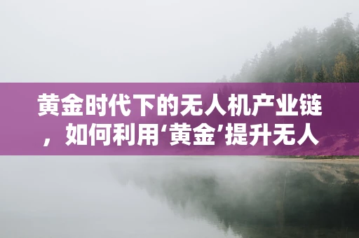 黄金时代下的无人机产业链，如何利用‘黄金’提升无人机性能？
