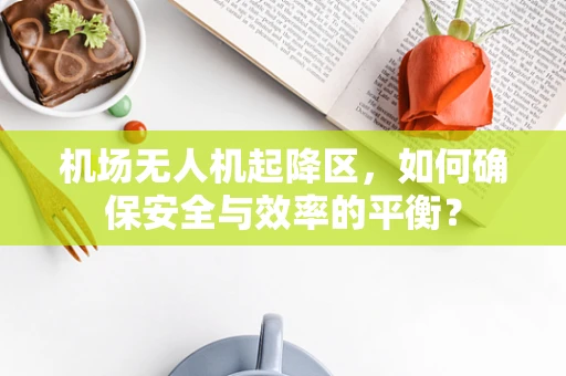 机场无人机起降区，如何确保安全与效率的平衡？