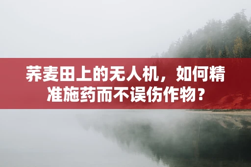 荞麦田上的无人机，如何精准施药而不误伤作物？