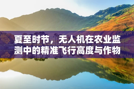 夏至时节，无人机在农业监测中的精准飞行高度与作物生长的微妙关系