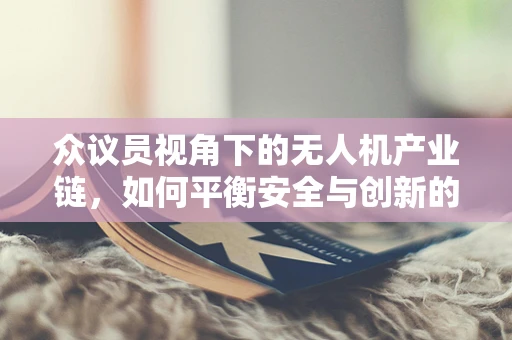 众议员视角下的无人机产业链，如何平衡安全与创新的边界？