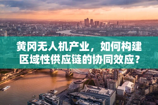 黄冈无人机产业，如何构建区域性供应链的协同效应？