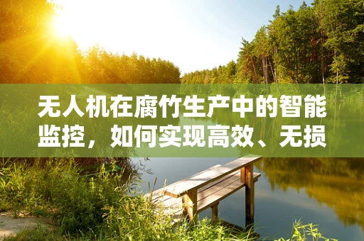 无人机在腐竹生产中的智能监控，如何实现高效、无损的作物监测？