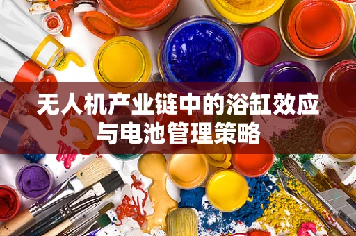 无人机产业链中的浴缸效应与电池管理策略