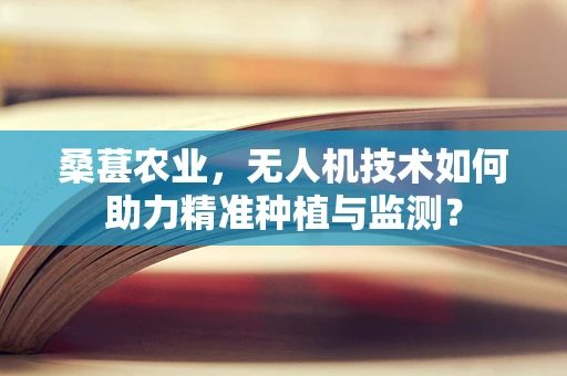 桑葚农业，无人机技术如何助力精准种植与监测？