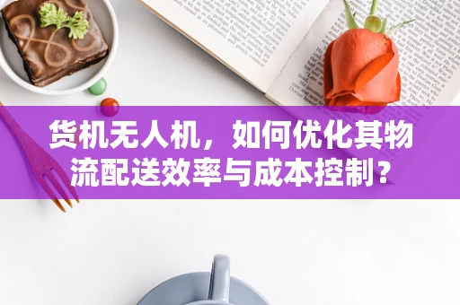 货机无人机，如何优化其物流配送效率与成本控制？