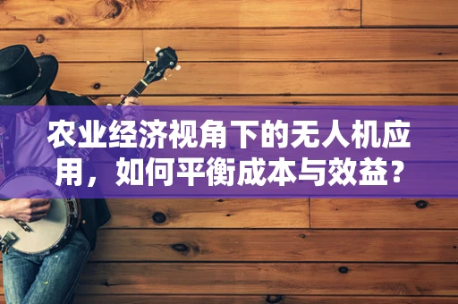 农业经济视角下的无人机应用，如何平衡成本与效益？