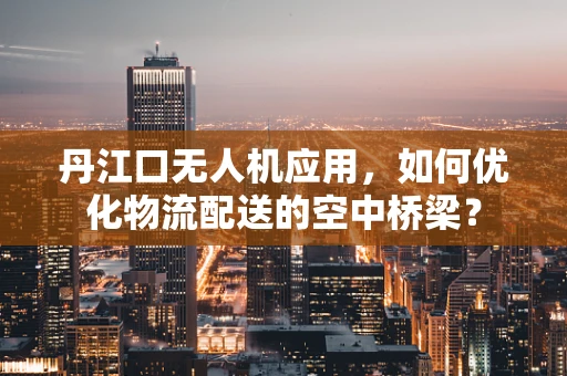 丹江口无人机应用，如何优化物流配送的空中桥梁？