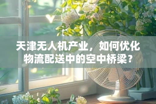 天津无人机产业，如何优化物流配送中的空中桥梁？