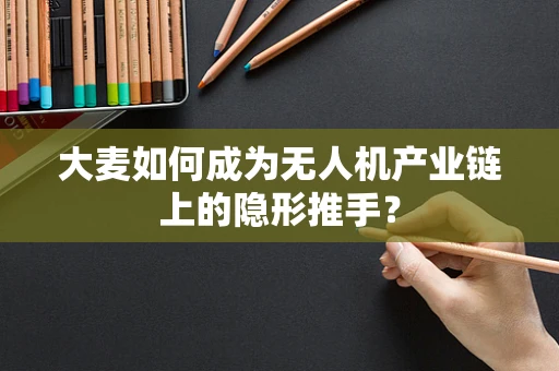 大麦如何成为无人机产业链上的隐形推手？