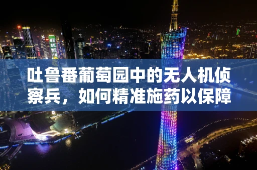 吐鲁番葡萄园中的无人机侦察兵，如何精准施药以保障果实品质？