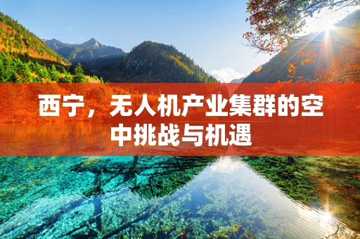 西宁，无人机产业集群的空中挑战与机遇