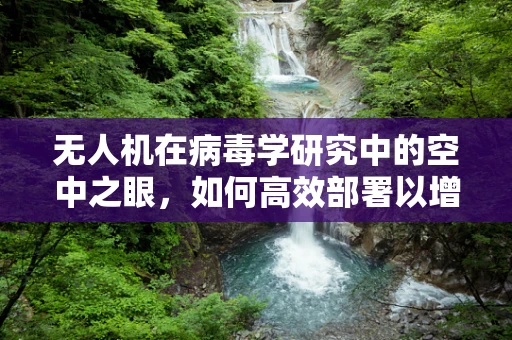 无人机在病毒学研究中的空中之眼，如何高效部署以增强病毒监测？