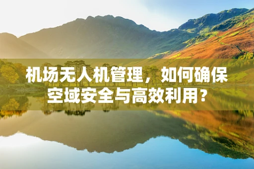 机场无人机管理，如何确保空域安全与高效利用？