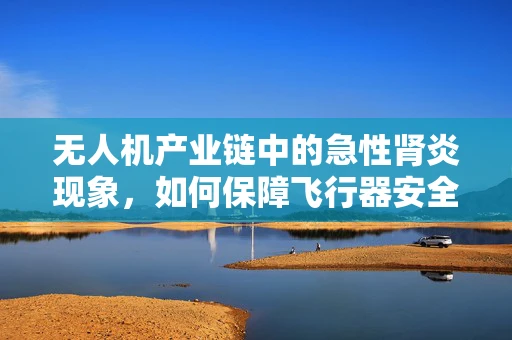无人机产业链中的急性肾炎现象，如何保障飞行器安全？