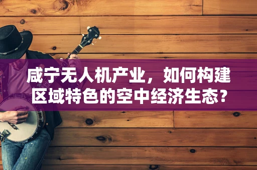 咸宁无人机产业，如何构建区域特色的空中经济生态？