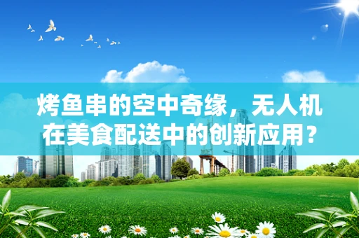 烤鱼串的空中奇缘，无人机在美食配送中的创新应用？