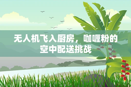 无人机飞入厨房，咖喱粉的空中配送挑战