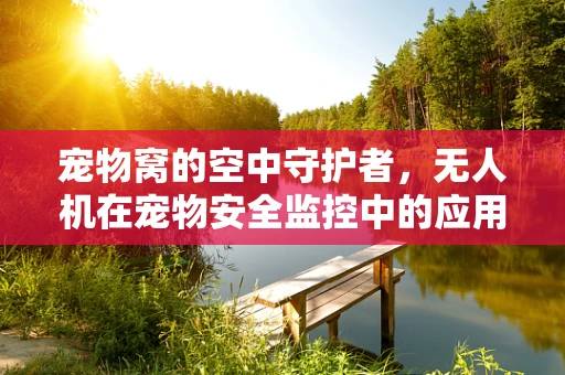 宠物窝的空中守护者，无人机在宠物安全监控中的应用挑战