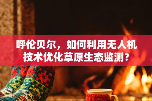 呼伦贝尔，如何利用无人机技术优化草原生态监测？