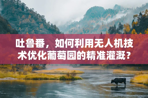 吐鲁番，如何利用无人机技术优化葡萄园的精准灌溉？