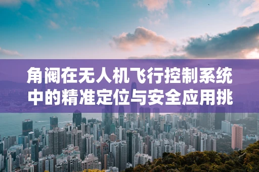 角阀在无人机飞行控制系统中的精准定位与安全应用挑战