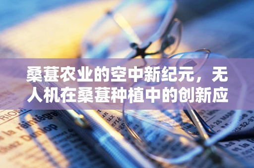 桑葚农业的空中新纪元，无人机在桑葚种植中的创新应用？