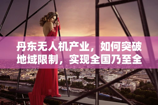 丹东无人机产业，如何突破地域限制，实现全国乃至全球的供应链整合？