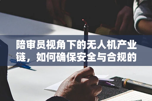陪审员视角下的无人机产业链，如何确保安全与合规的平衡？