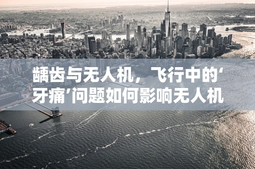 龋齿与无人机，飞行中的‘牙痛’问题如何影响无人机技术？