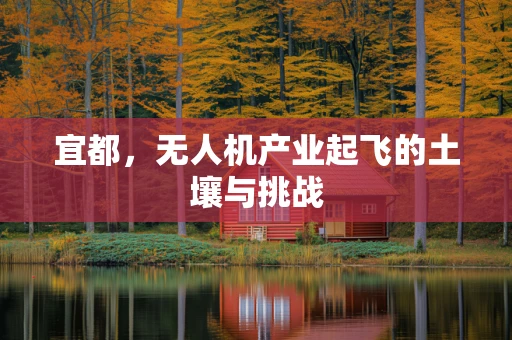 宜都，无人机产业起飞的土壤与挑战