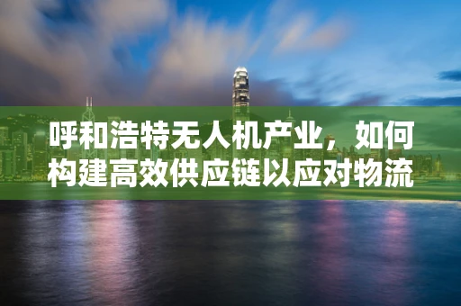 呼和浩特无人机产业，如何构建高效供应链以应对物流挑战？