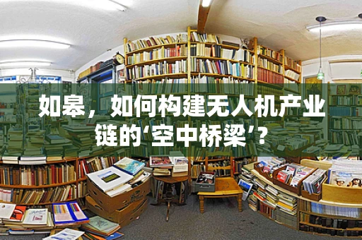 如皋，如何构建无人机产业链的‘空中桥梁’？