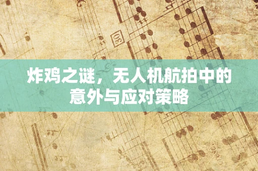 炸鸡之谜，无人机航拍中的意外与应对策略